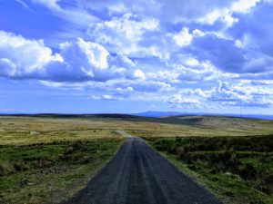 lugares que ver en Belfast